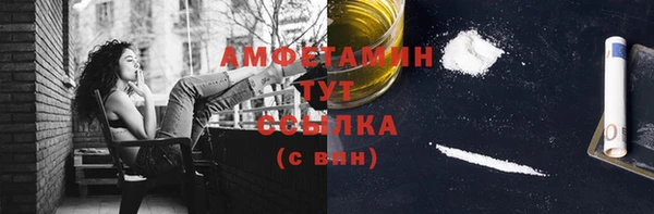 молекула духа Бородино