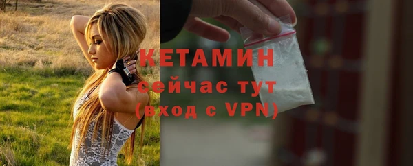 молекула духа Бородино