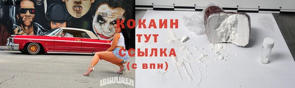 молекула духа Бородино
