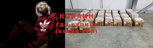 молекула духа Бородино