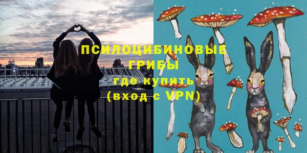 молекула духа Бородино