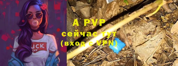 гашик Бугульма