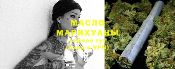 молекула духа Бородино